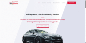 Multirepuestos y Servicios Diesel y Gasolina
